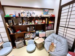 -逗柴咖啡屋·狗咖猫咖宠物桌游