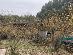 -祥源·阜阳生态乐园