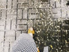 -茶花妹子云南餐厅(北大店)