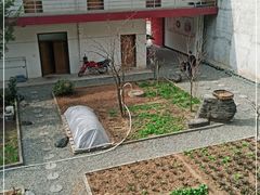 -柞水乾佑红门家菜