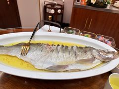 -鲁宴·鲁煨黄河生态大鲤鱼(月坛店)