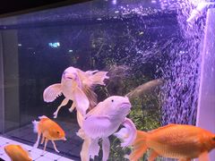 -武夷山旧街壹号溪岸旅馆(三姑度假区店)