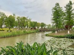 -九科绿洲