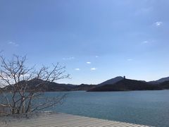 -望湖烤鱼