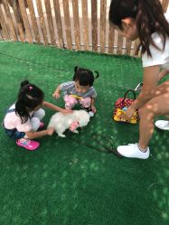 -萌宠亲子动物乐园(槐房万达店)