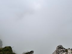-牛背梁国家森林公园