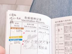 -爱侣宠医·鹦鹉专科·小型哺乳类·异宠专科(灵石路店)