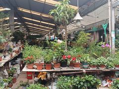 -曲阳花鸟市场(曲阳路店)
