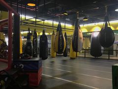 -天行健身＆天行拳馆跆拳道·格斗TXGYM