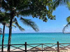 -瑰丽酒店·海吧·天际下午茶·现场DJ·天台酒吧