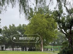 -济南大明湖景区