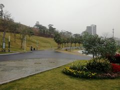-白石龙音乐公园