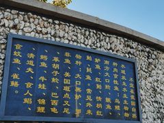 -芒洲湿地公园