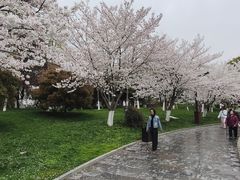 -堤角公园