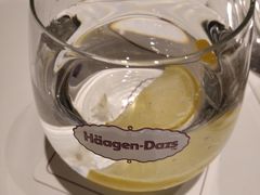 -哈根达斯(陆家浜路店)