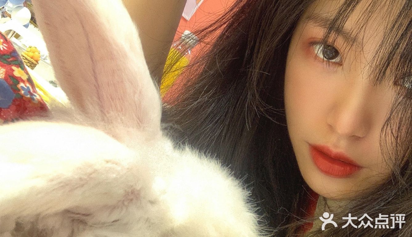 杭州首家巨兔体验馆🐰少女心溢出屏幕啦💗