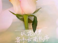 -芸山季·云南野生菌火锅(人民广场来福士店)