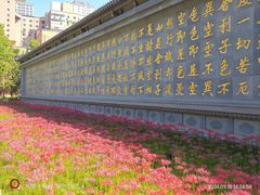 -西安大兴善寺
