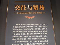 -中央民族大学