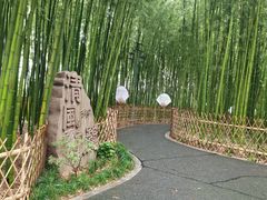 -陈家山荷花公园