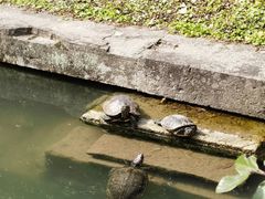 -宁波市保国寺古建筑博物馆