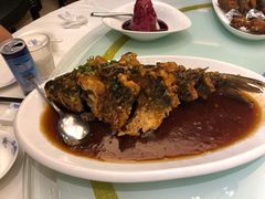 老济南糖醋鲤鱼-金春禧(世茂国际广场店)