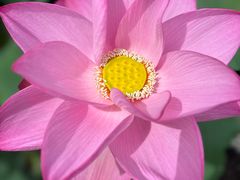 -苏州香山国际大酒店