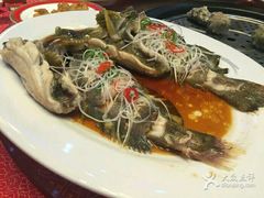 -海岛渔村大酒店(云霄路店)