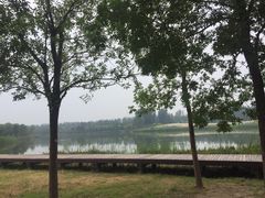 -东郊湿地公园