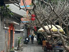 -小洲村