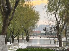 -皖北巫氏三胖地锅鸡(正大店)