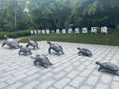 -广东惠东海龟国家级自然保护区
