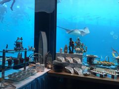 -瑞德姆美人鱼海底演艺主题餐厅(亚龙湾店)