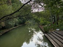 -同里国家湿地公园