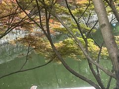 -天怡·鱼工厂(梅溪湖店)