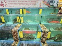 -有腥气私房菜·寻味顺德