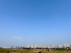 -洋湖国家湿地公园