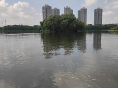 -长白岛森林公园