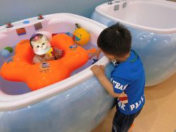 -TAILY BABYSPA泰丽宝贝婴儿游泳(金狮广场店)