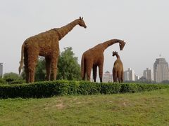-莲花池公园