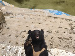 -成都动物园
