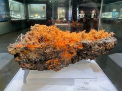 -湖南省地质博物馆