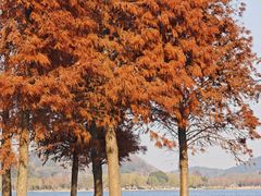 -南北湖风景区