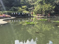 -庐山风景区花径公园