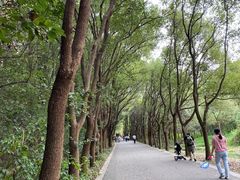 -同里国家湿地公园