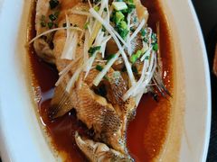 一品鲈鱼-大鸭梨烤鸭店(古城店)