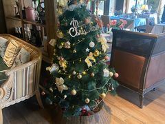 -一棵树·意大利西餐厅One Tree(新城店)