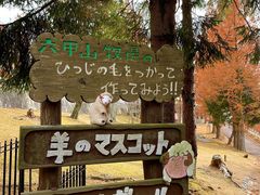 -神户市立六甲山牧场