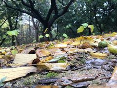 -白马涧龙池景区