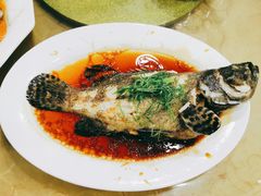 清蒸石斑鱼-双月饭店·20年老字号(新村店)